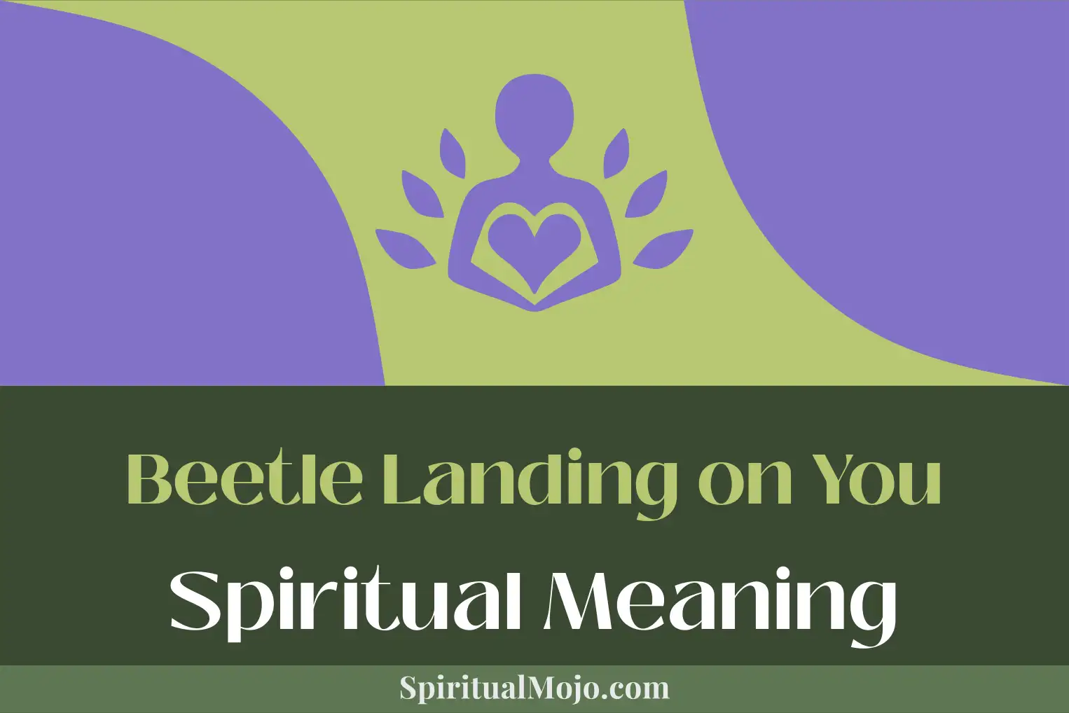 beetle landing on you spiritual meaning