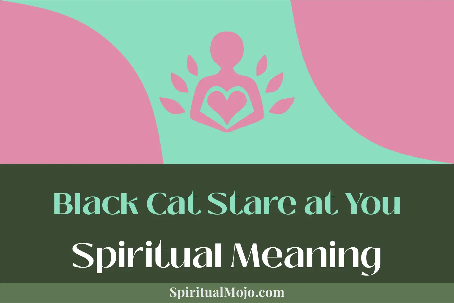 black cat stare at you spiritual meaning