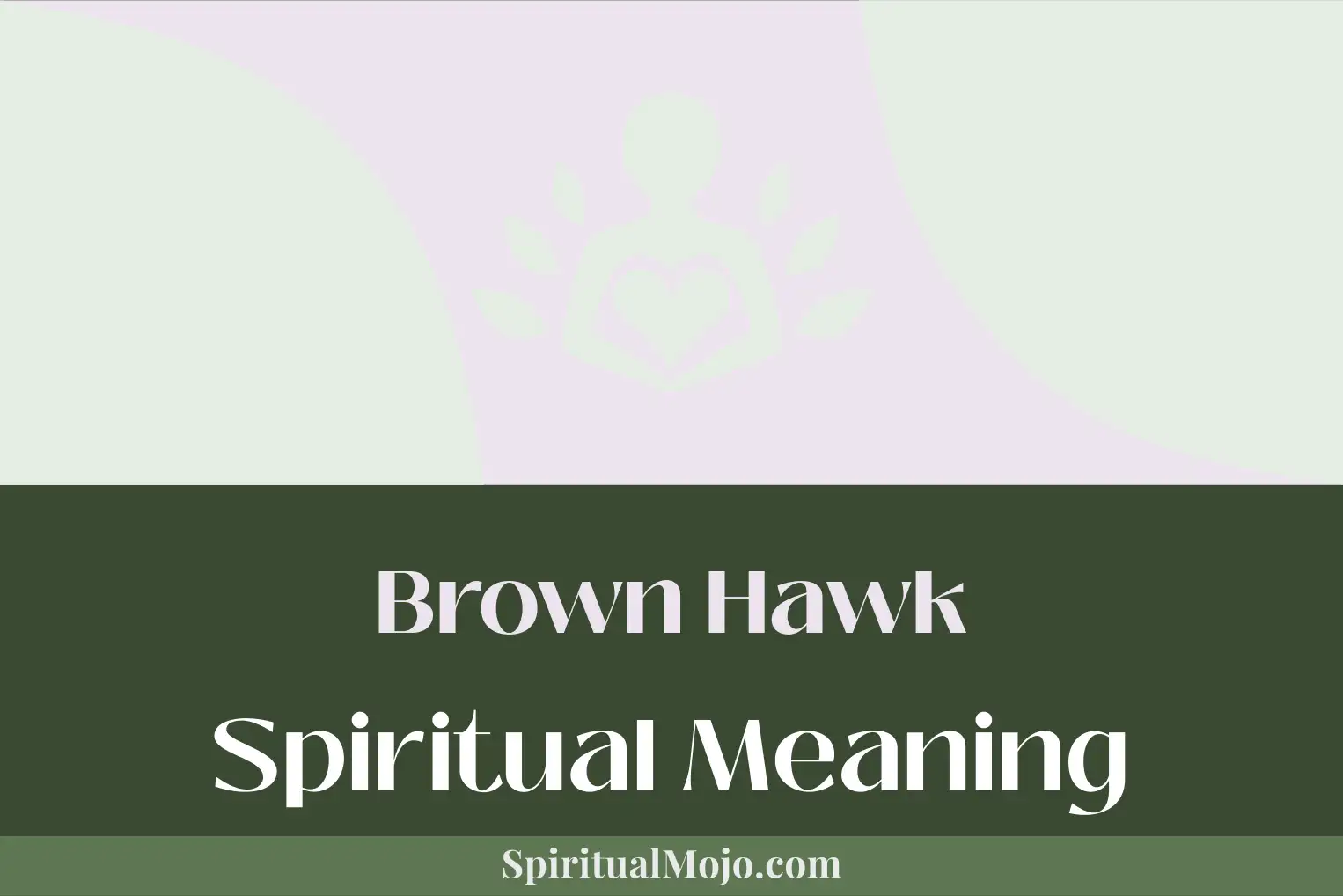 brown hawk spiritual meaning