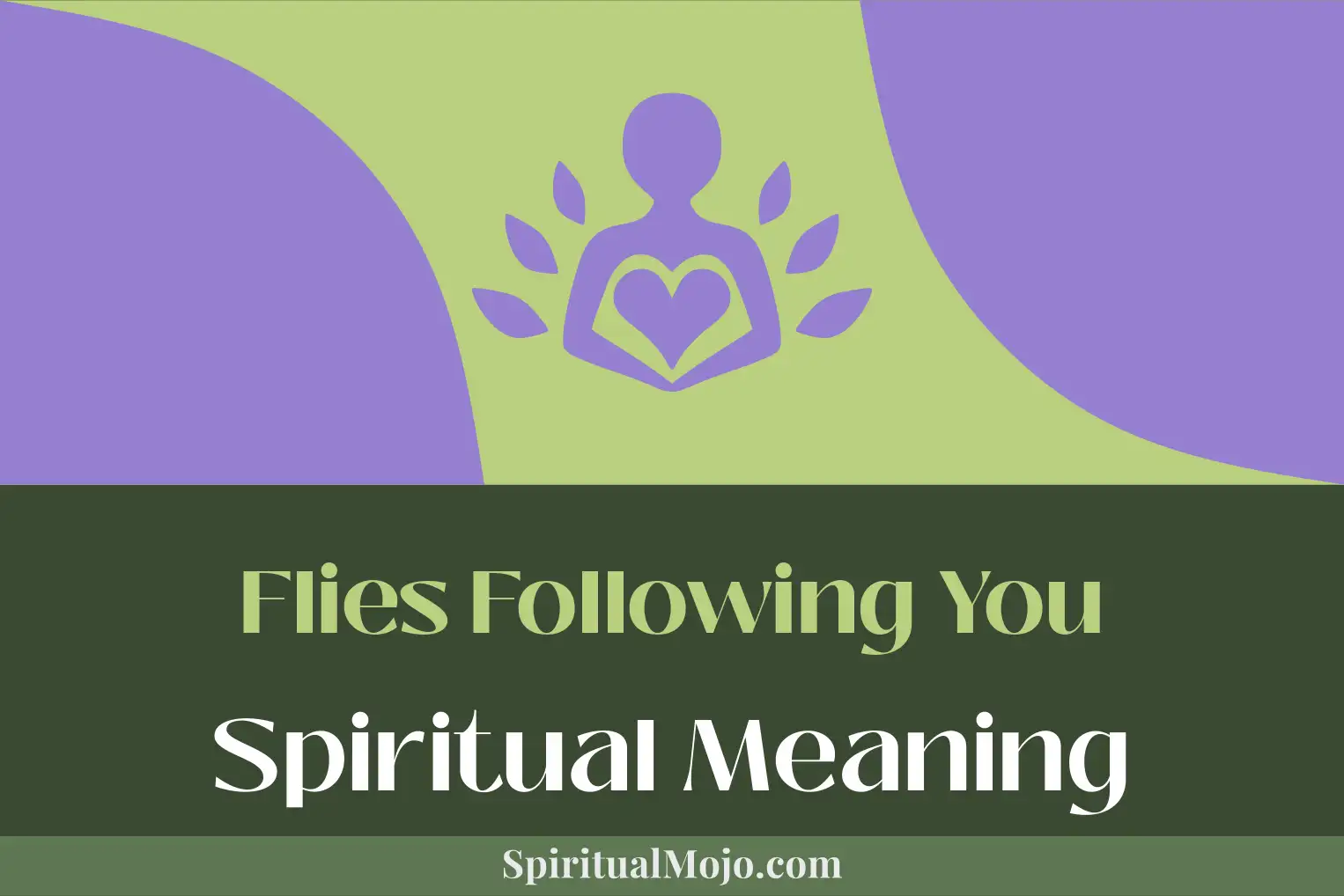 flies following you spiritual meaning