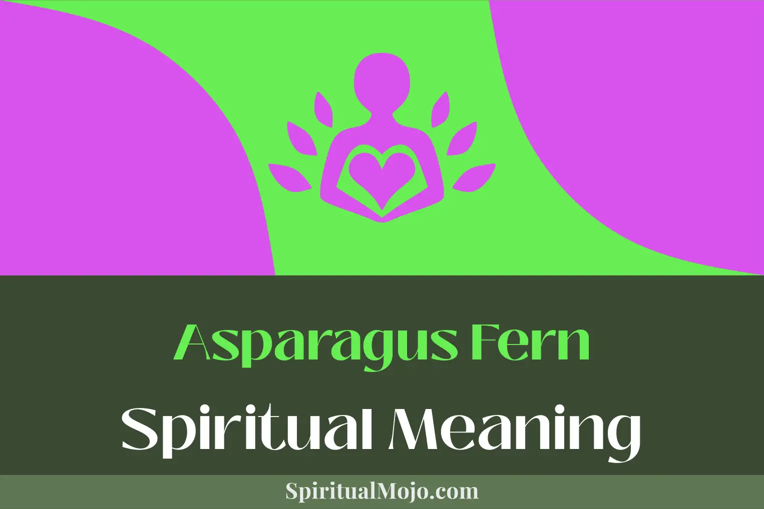 asparagus fern spiritual meaning