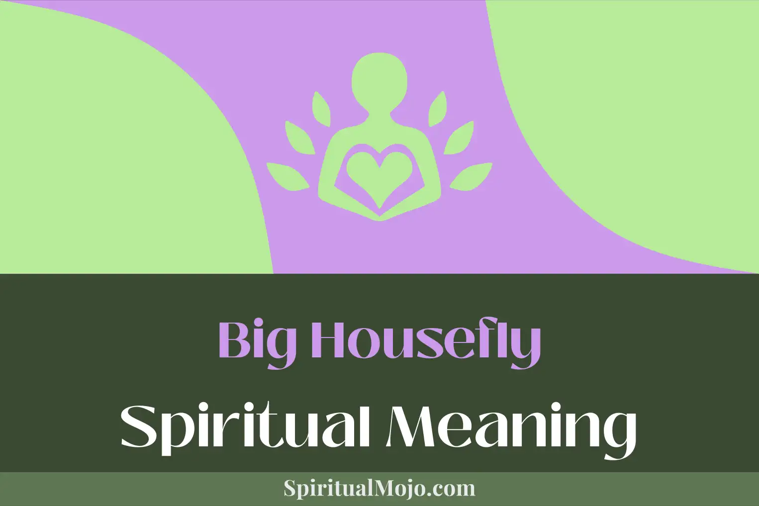 big housefly spiritual meaning