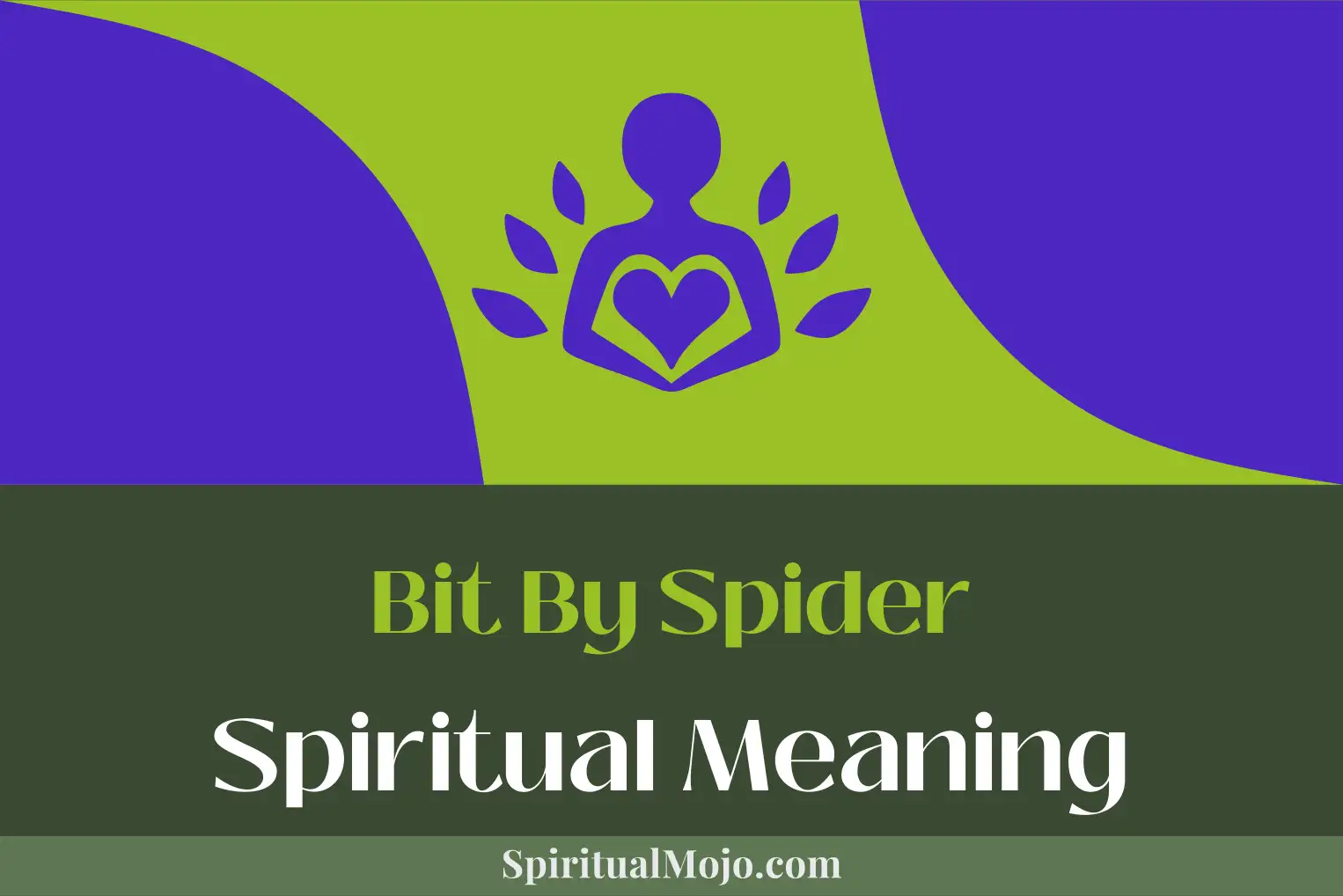 bit by spider spiritual meaning