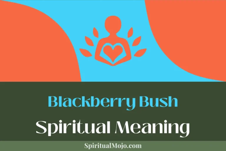 Blackberry Bush Spiritual Meaning (Reaping Fruity Rewards)