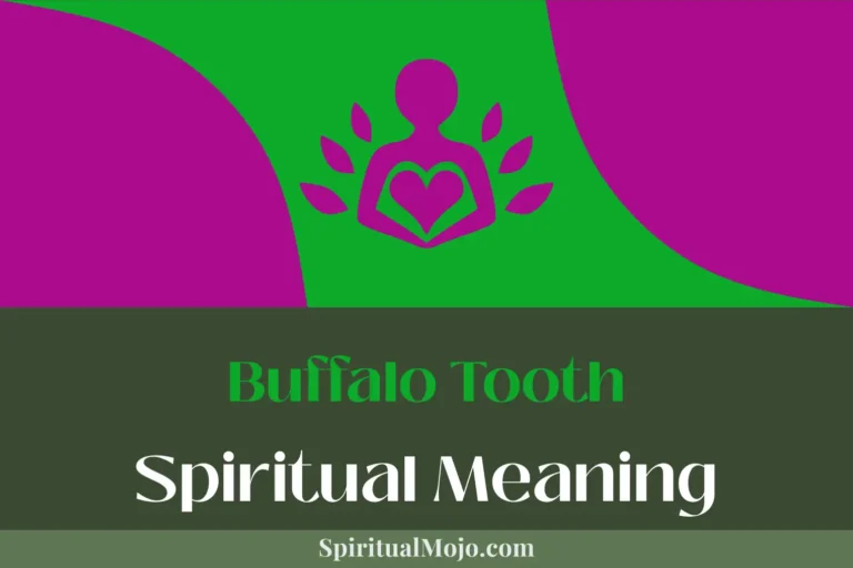 Buffalo Tooth Spiritual Meaning (Journey into Shamanism)
