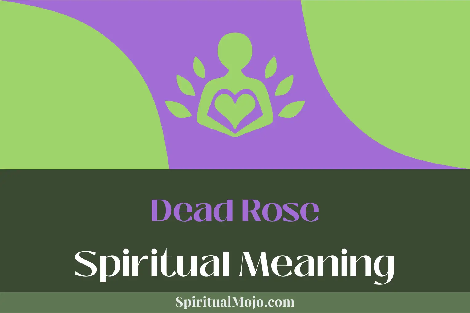 dead rose spiritual meaning