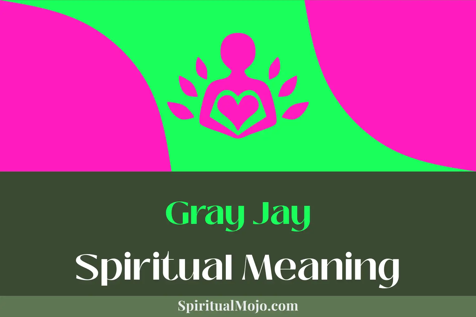 gray jay spiritual meaning