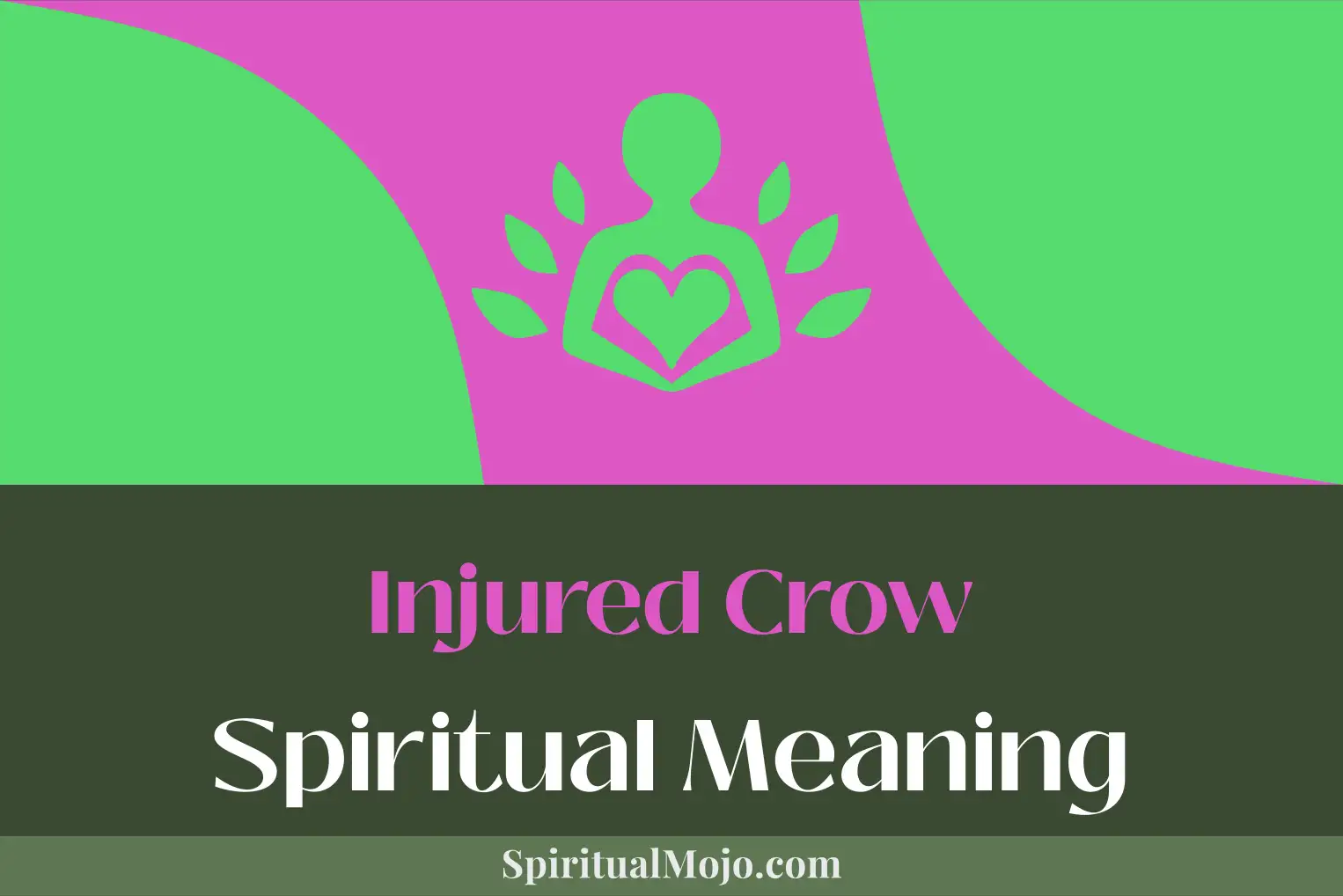 injured crow spiritual meaning