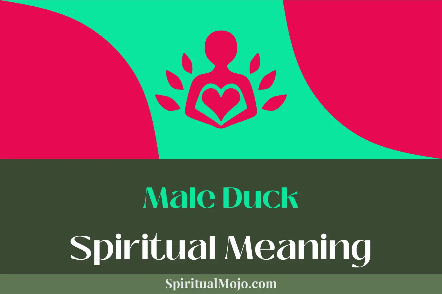 male duck spiritual meaning