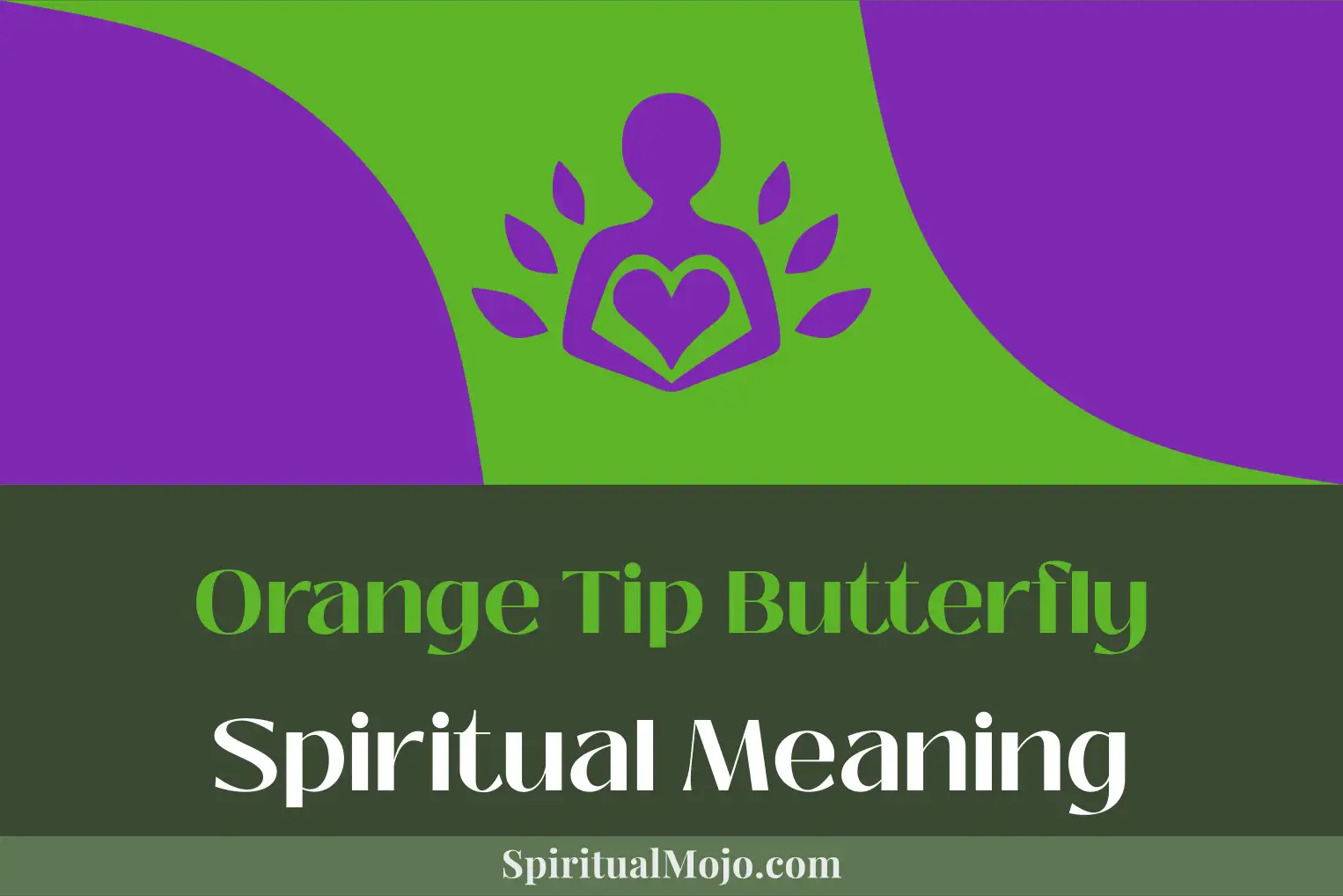 orange tip butterfly spiritual meaning