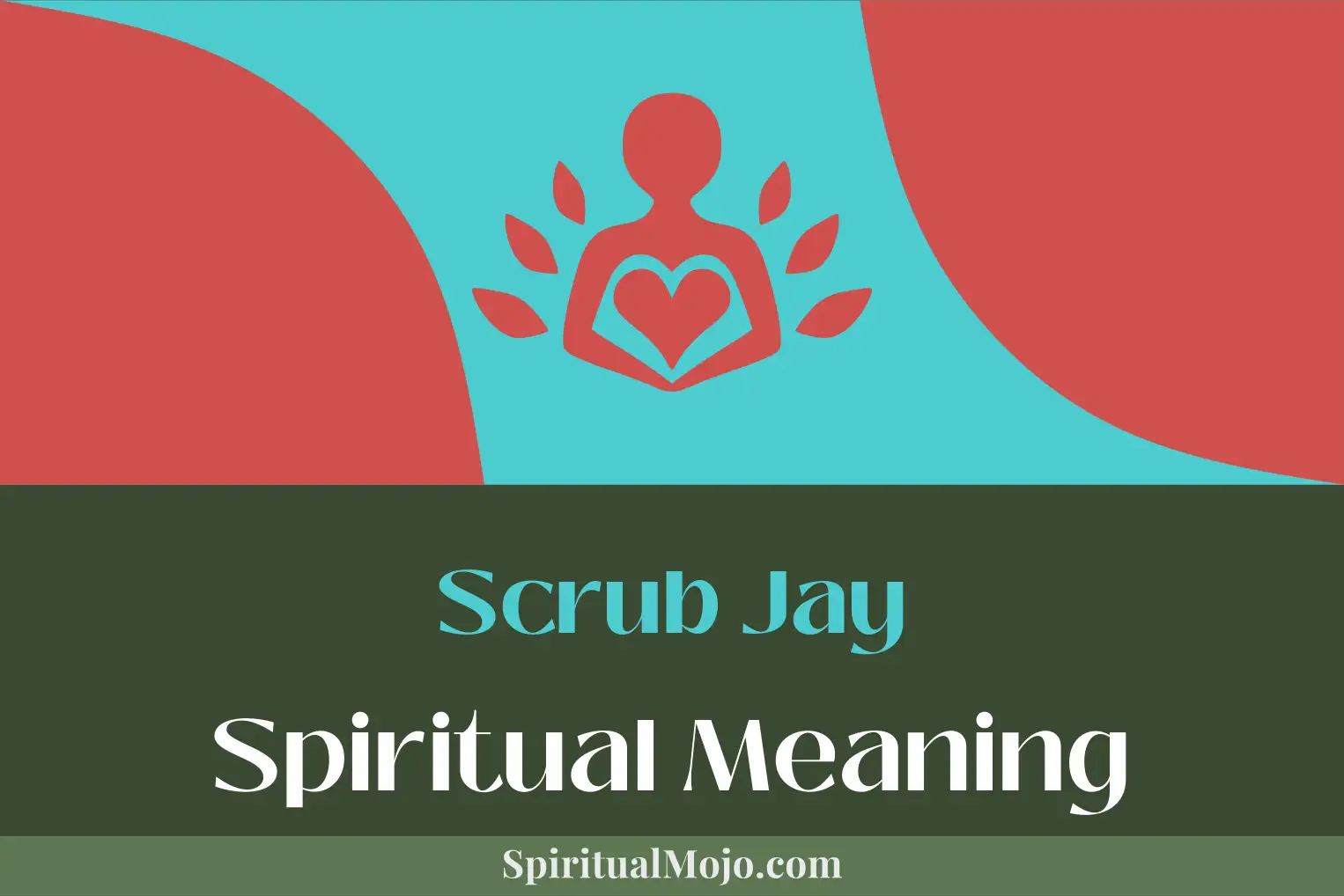 scrub jay spiritual meaning