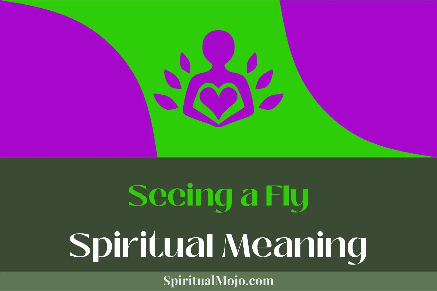seeing a fly spiritual meaning