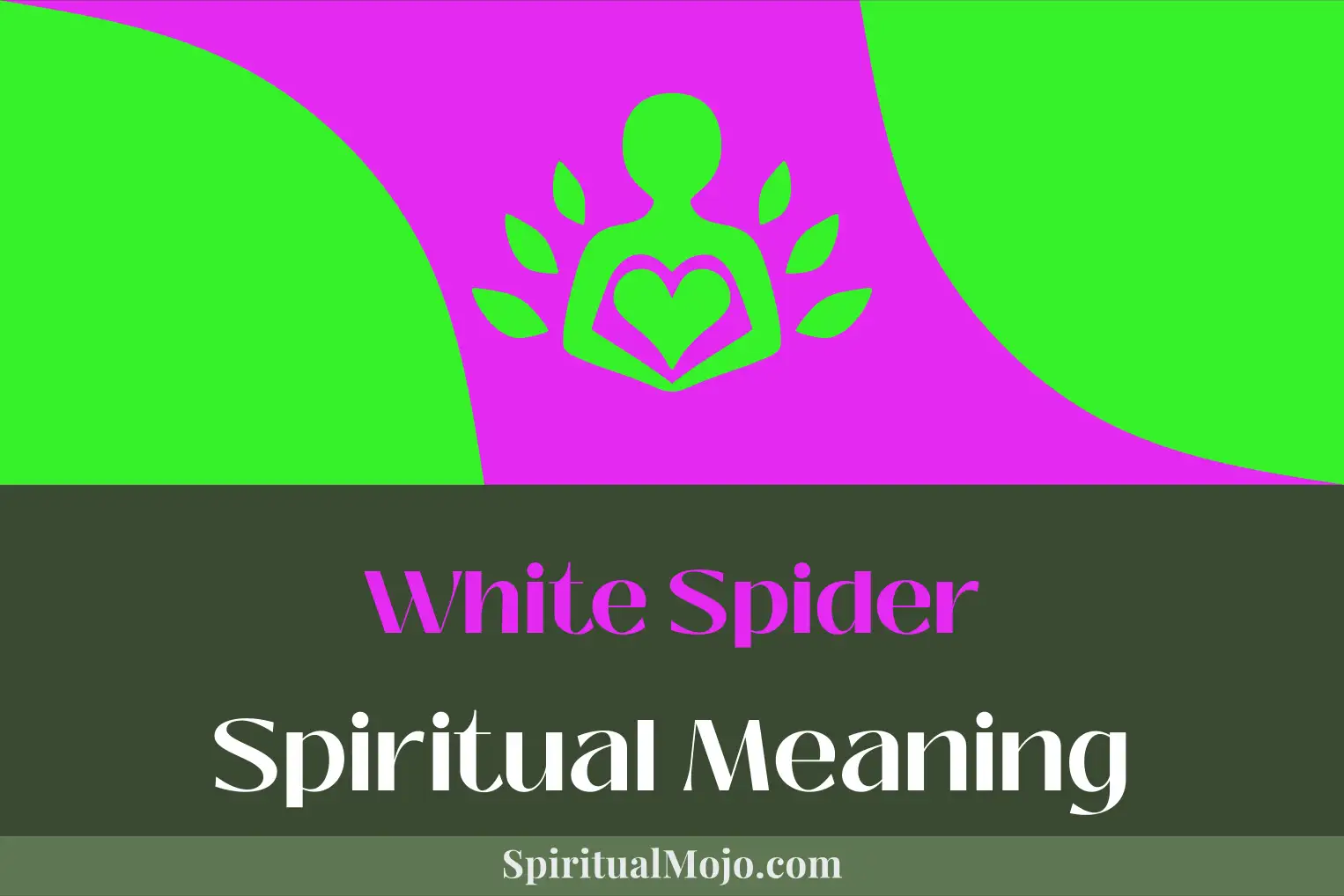 white spider spiritual meaning