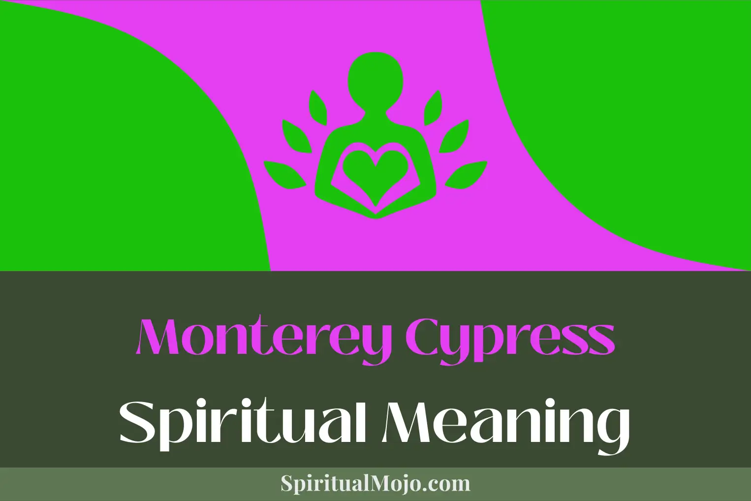 monterey cypress spiritual meaning