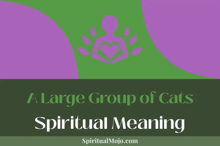 A Large Group of Cats Spiritual Meaning (Beyond Nine Lives)