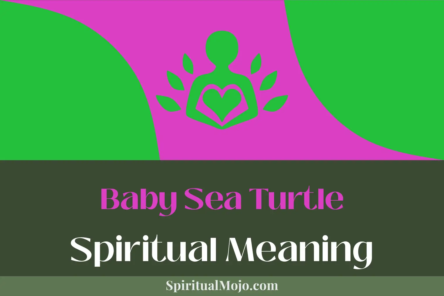baby sea turtle spiritual meaning