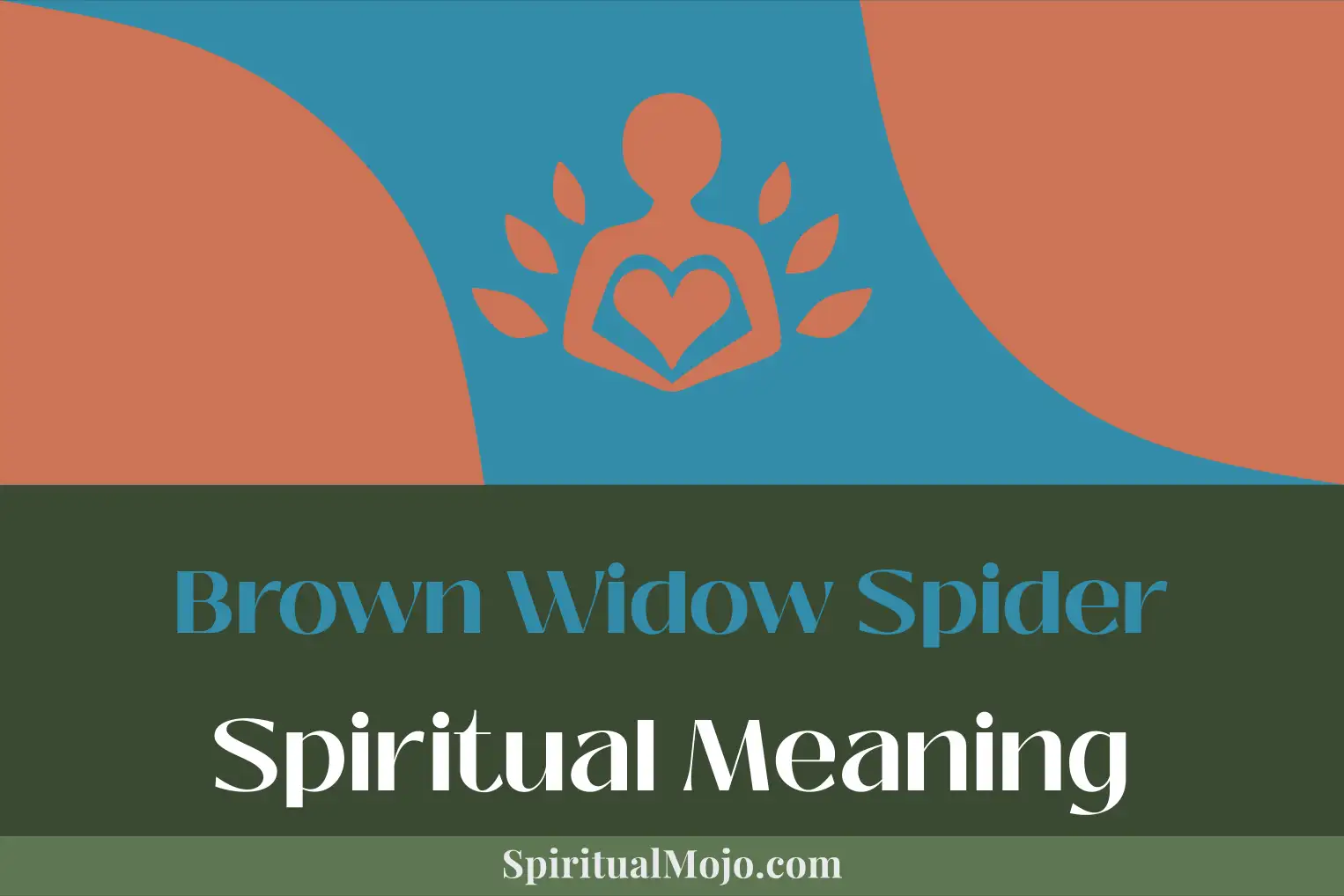 brown widow spider spiritual meaning