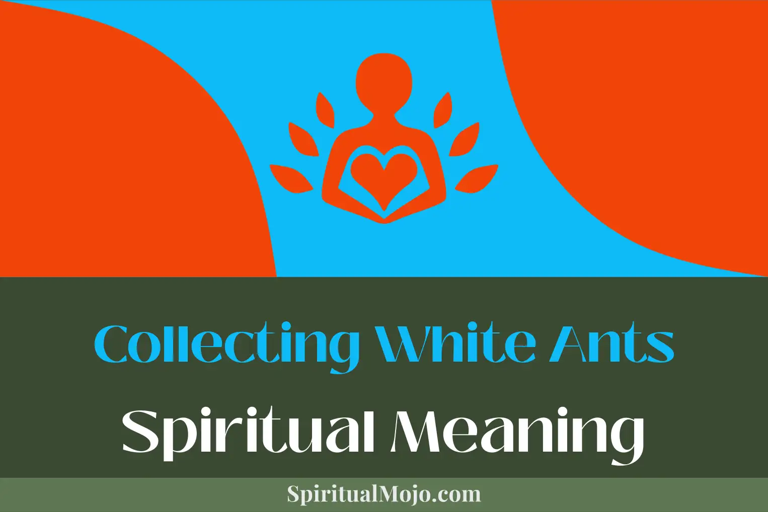 collecting white ants spiritual meaning