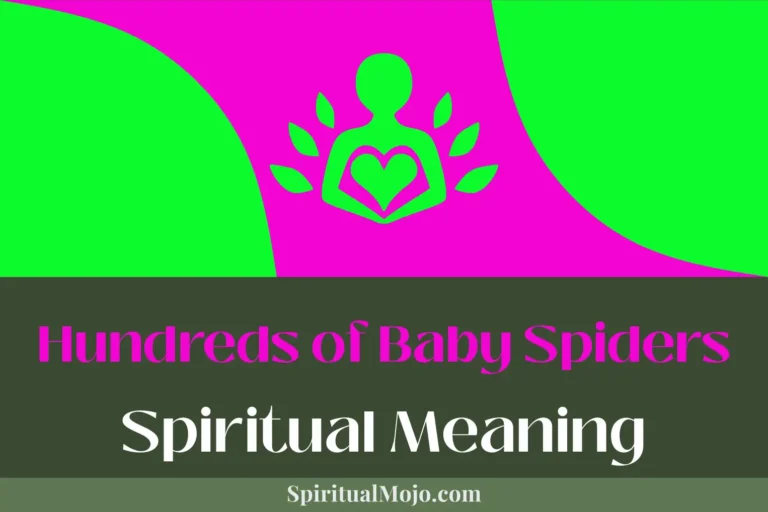 Hundreds of Baby Spiders Spiritual Meaning (Unveiling Tiny Totems)