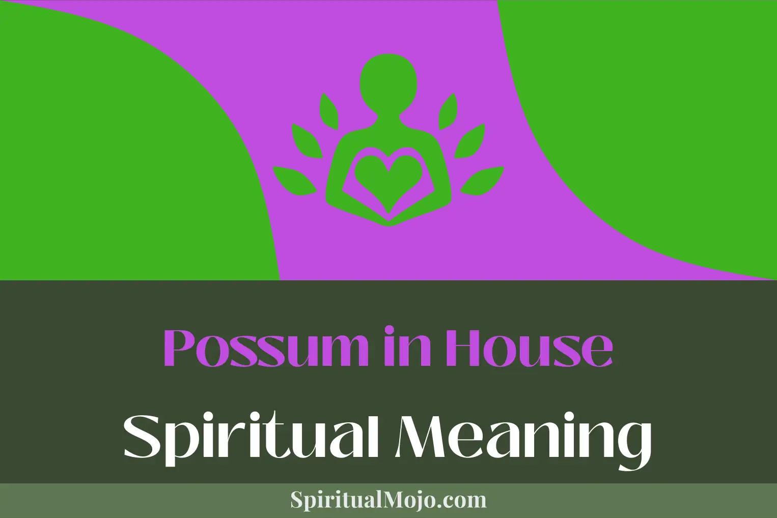 possum in house spiritual meaning