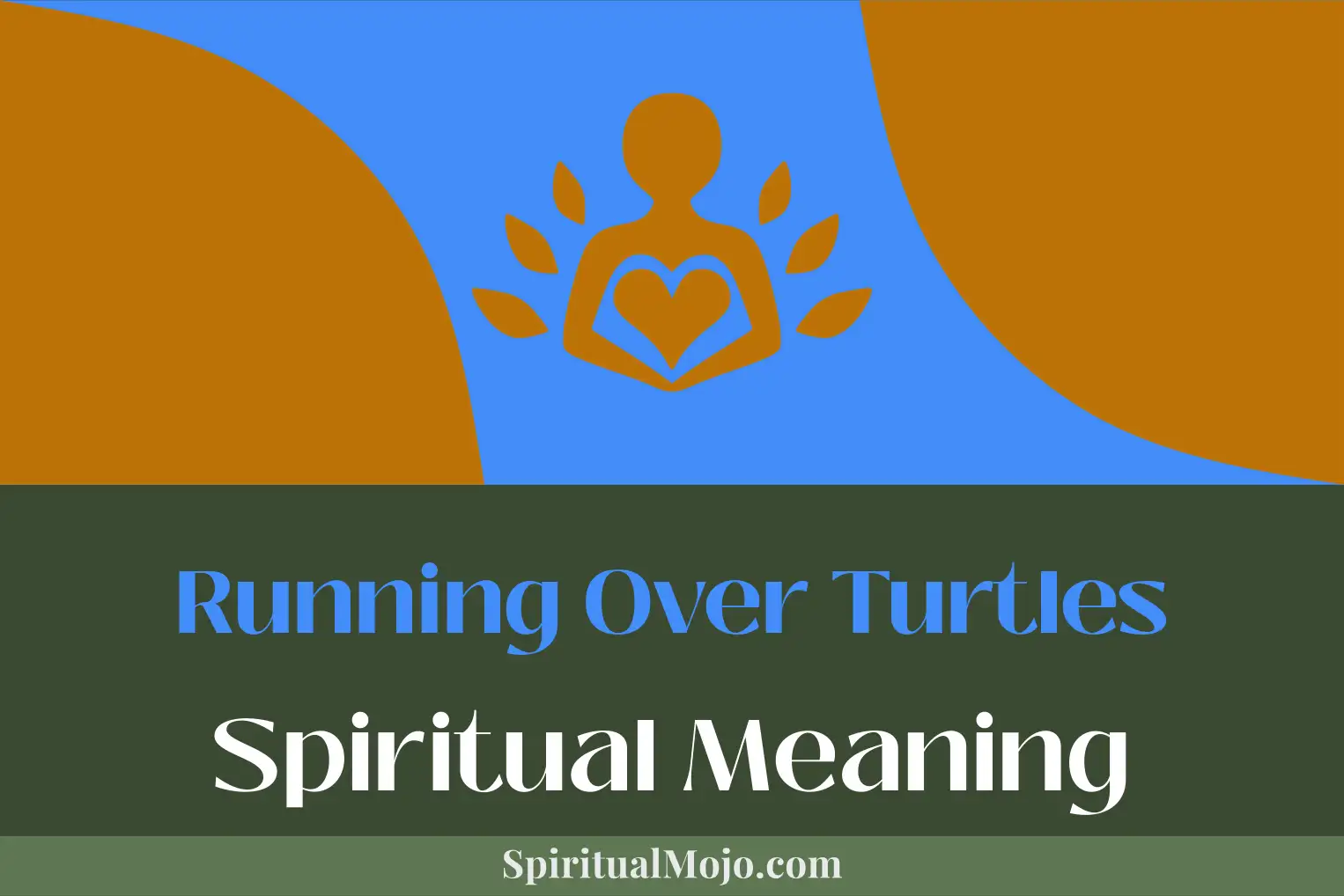 running over turtles spiritual meaning