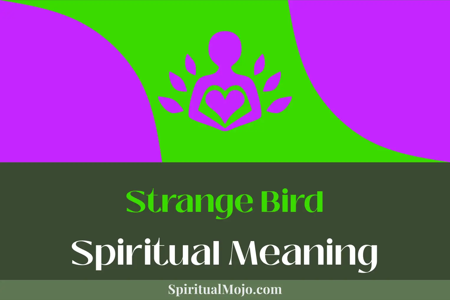 strange bird spiritual meaning