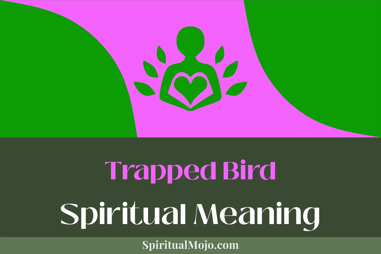 trapped bird spiritual meaning