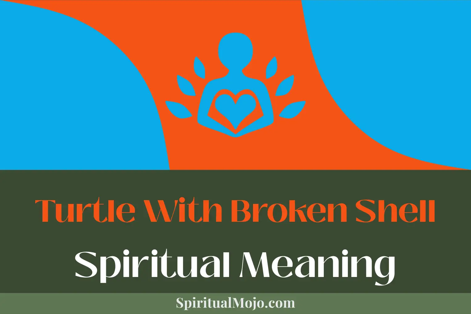 turtle with broken shell spiritual meaning