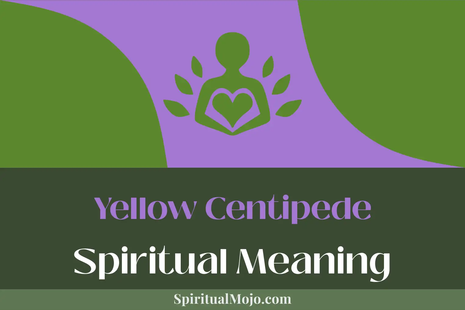 yellow centipede spiritual meaning