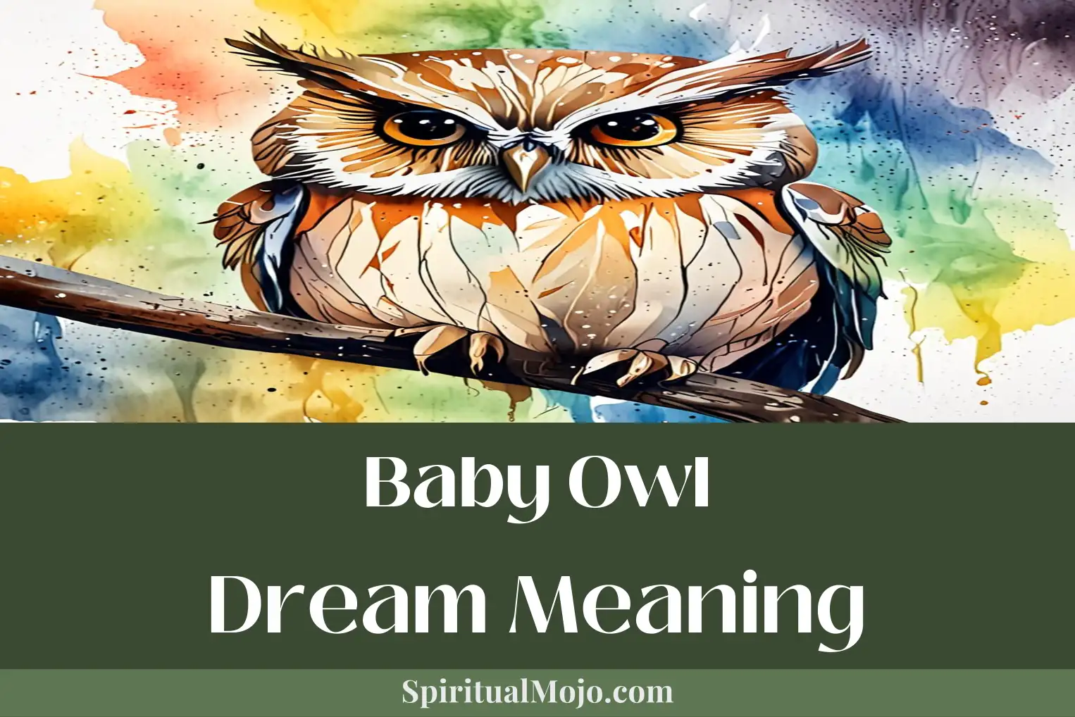 baby owl dream meaning