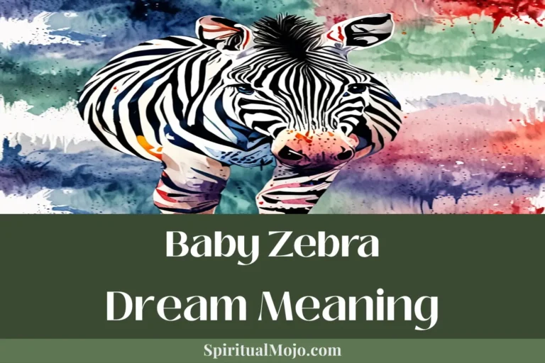 baby zebra dream meaning