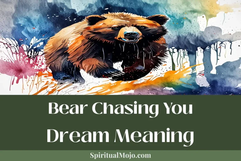 bear chasing you dream meaning