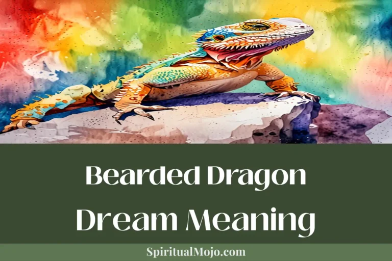 bearded dragon dream meaning