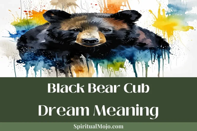 black bear cub dream meaning
