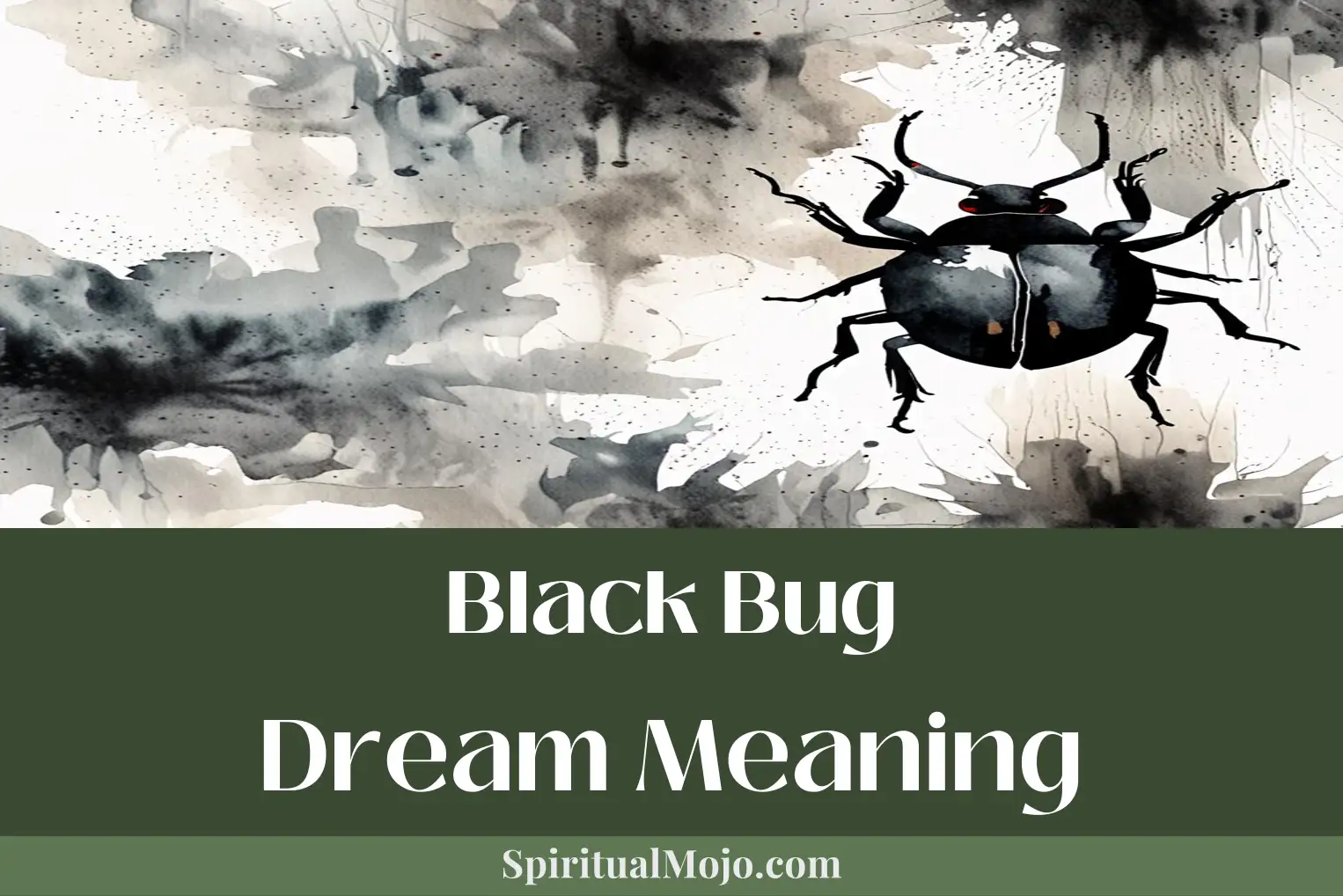 black bug dream meaning