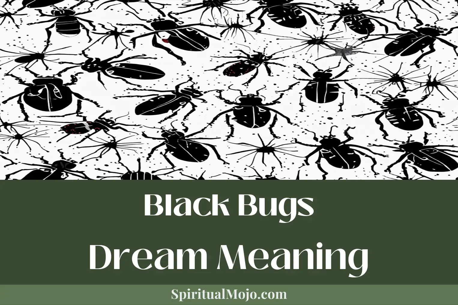 black bugs dream meaning