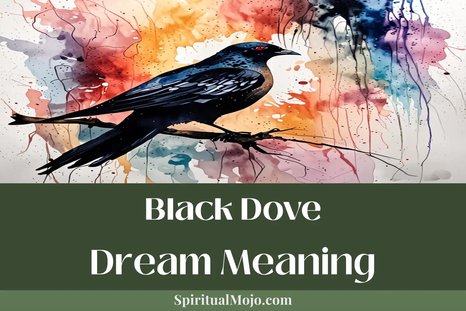 black dove dream meaning