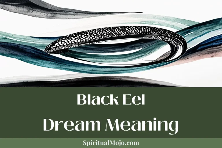 black eel dream meaning