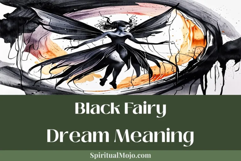 black fairy dream meaning