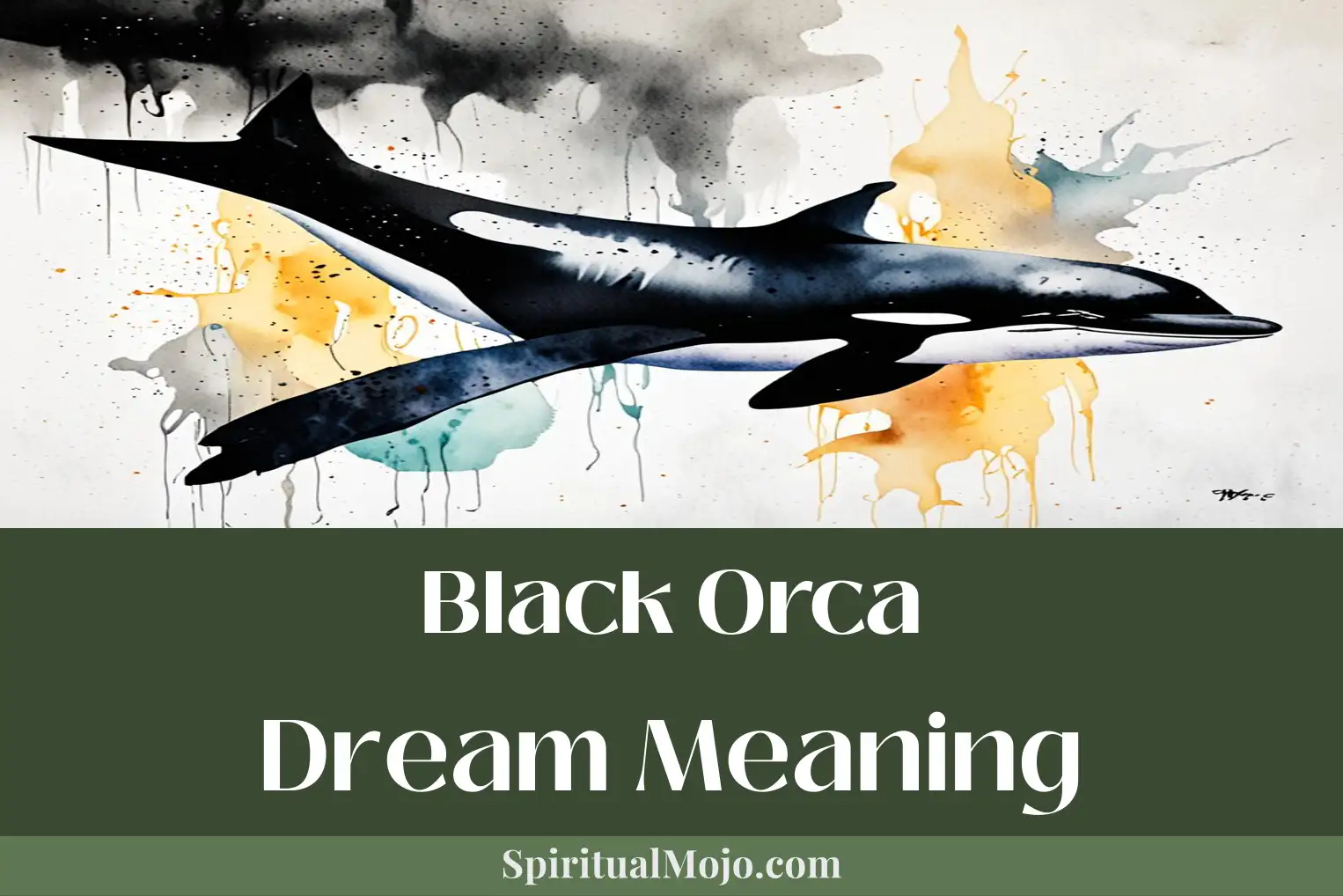 black orca dream meaning