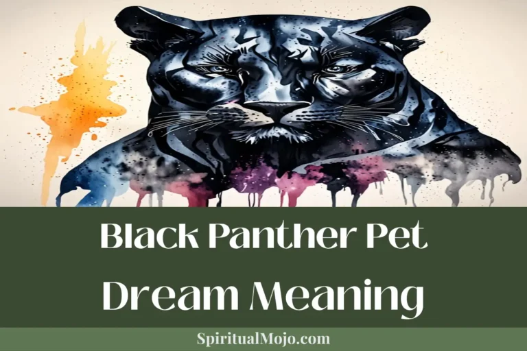 black panther pet dream meaning