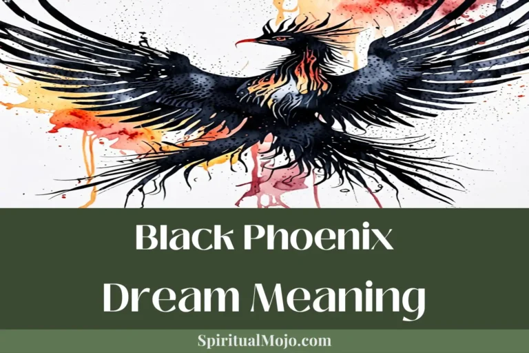 black phoenix dream meaning