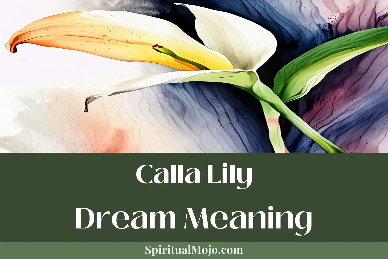 calla lily dream meaning