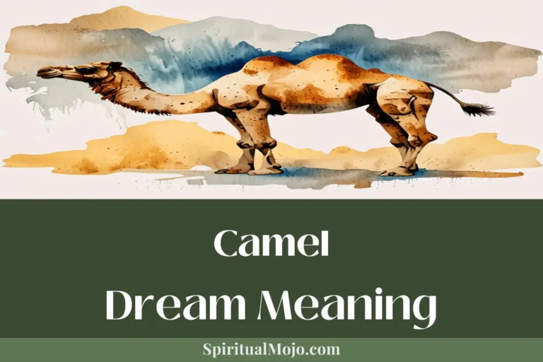 camel dream meaning