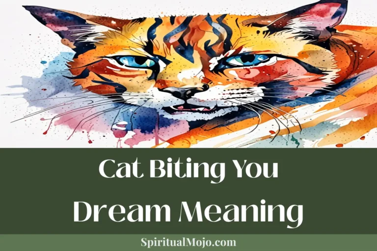 cat biting you dream meaning
