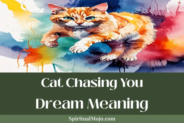 cat chasing you dream meaning