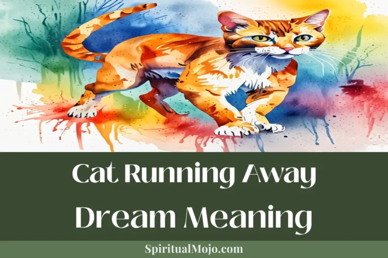 cat running away dream meaning