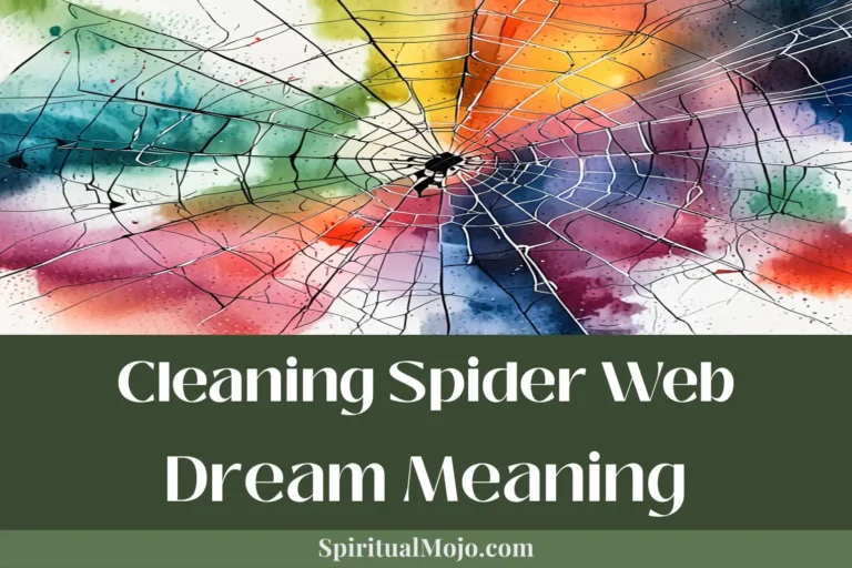 cleaning spider web dream meaning