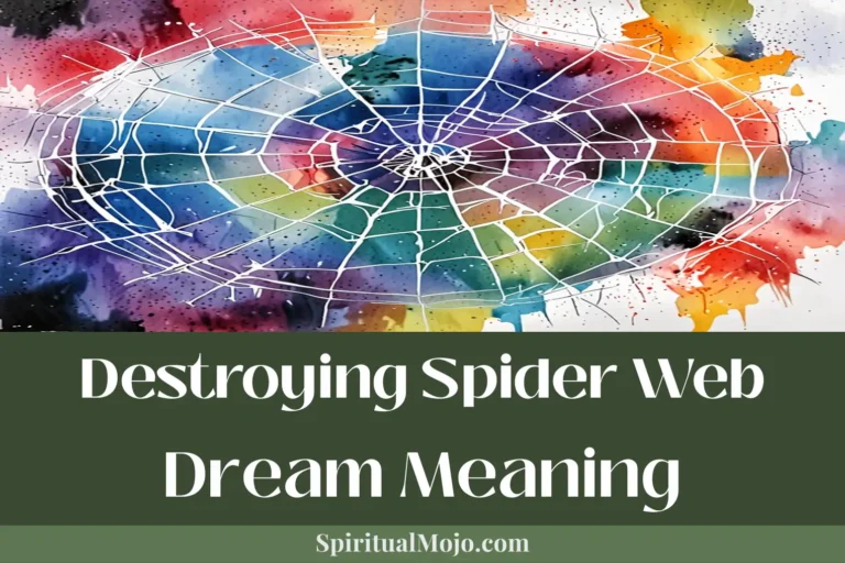 destroying spider web dream meaning