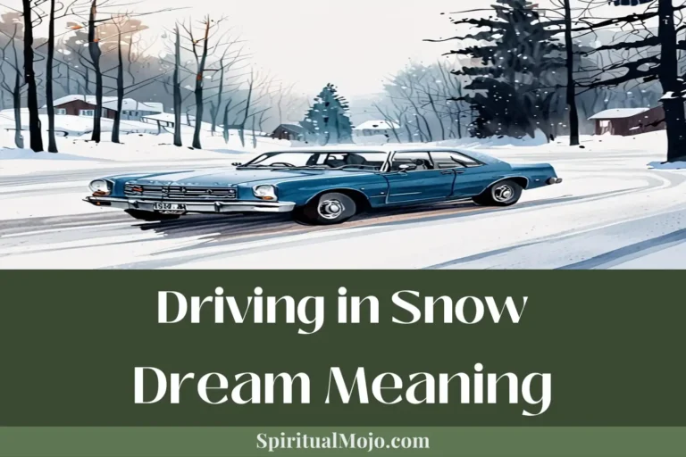driving in snow dream meaning